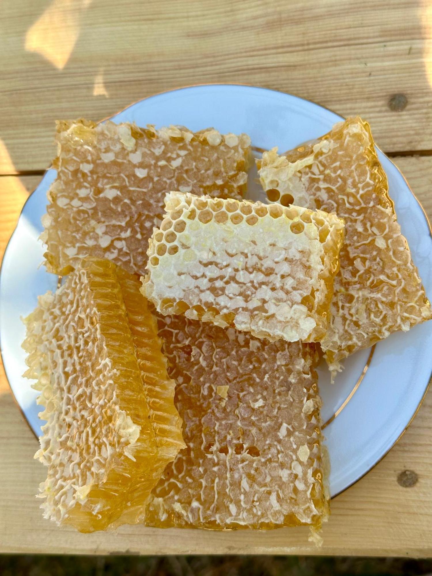 乌树故里 Nanila酒店 外观 照片